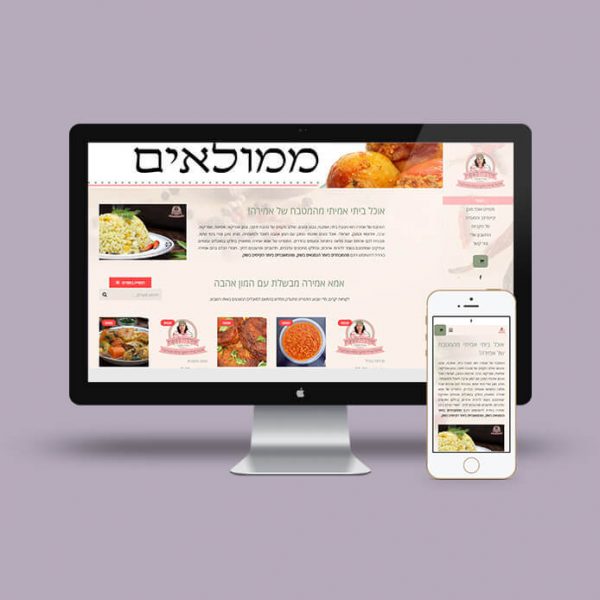 בניית אתר אמירה לשבת